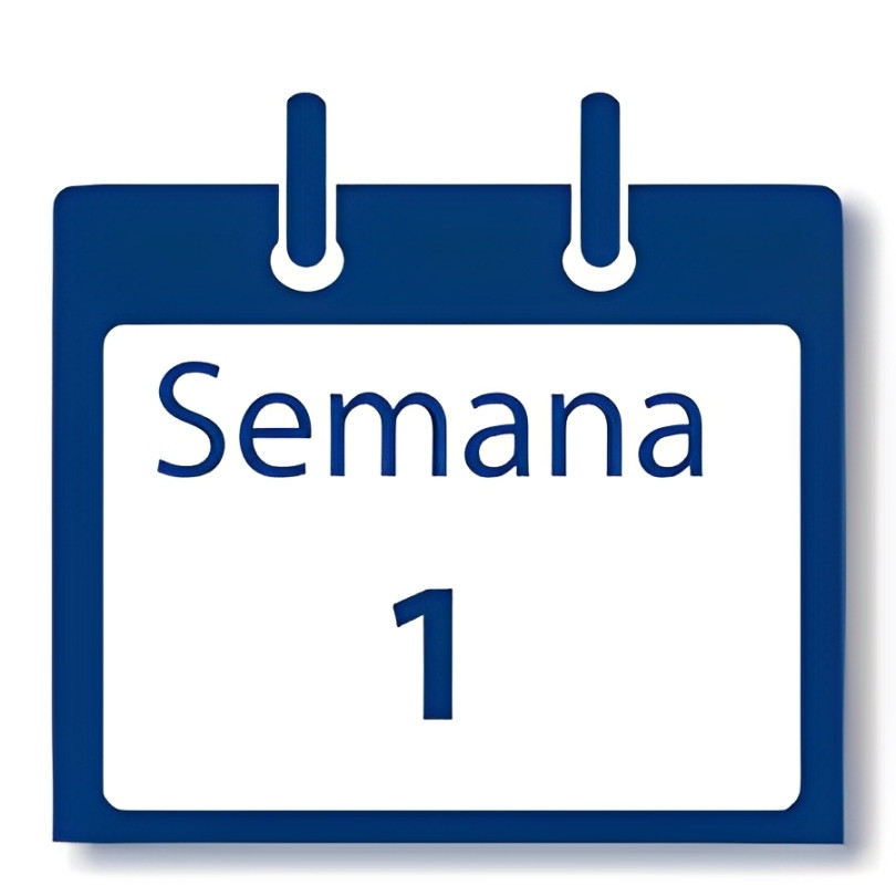 Primeira semana do novo Governo Municipal termina. Foco foi limpeza em bairros da cidade