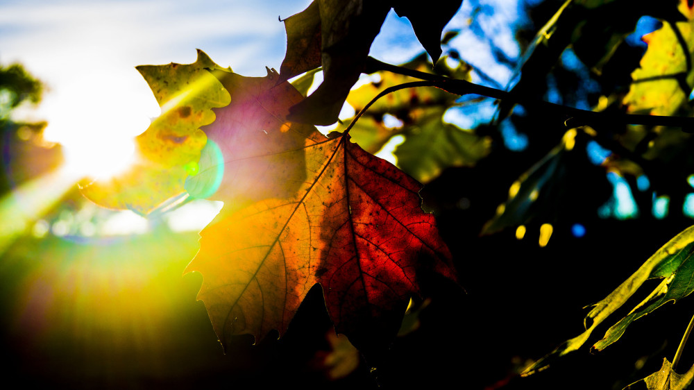 Outono terá temperaturas acima da média, chuvas abaixo da média mas noites menos quentes