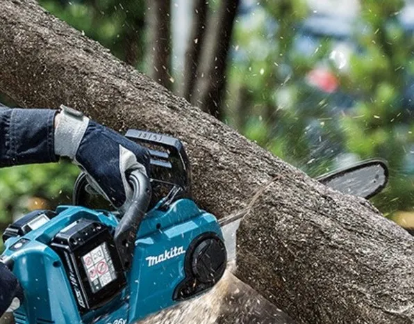 ENERGISA SEGUE “DEPENANDO” AS ÁRVORES EM ALÉM PARAÍBA. 