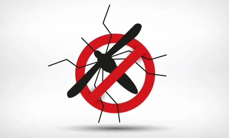 DENGUE AMEAÇA ALÉM PARAÍBA COM PREVISÃO DE SURTO NO VERÃO DE 2026