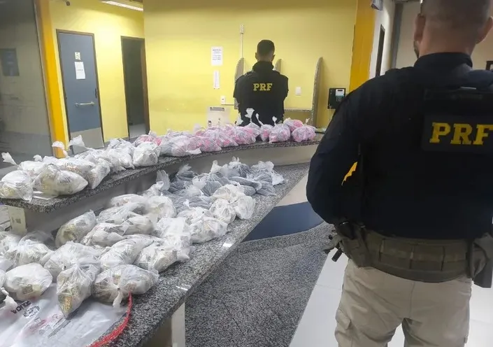 PRF APREENDE MAIS DE 6 MIL PINOS DE COCAÍNA QUE SEGUIRIAM PARA ALÉM PARAÍBA