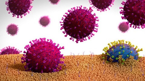 Nova cepa do Coronavirus foi encontrada em 2 infectados de Além Paraíba